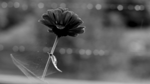 jorge-barakutanga-no-quise-ser-infiel-behid-the-scenes-2017-videoclip (14)